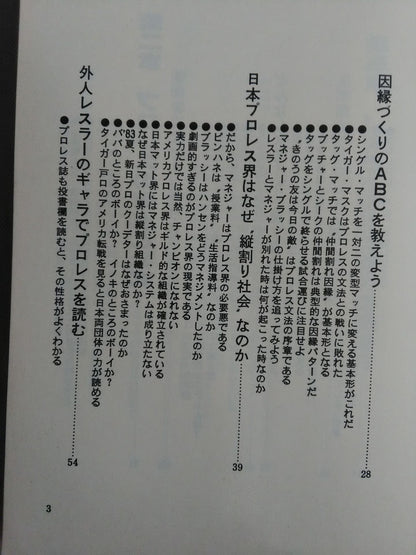 Nobody Teaches You How to Read Pro Wrestling