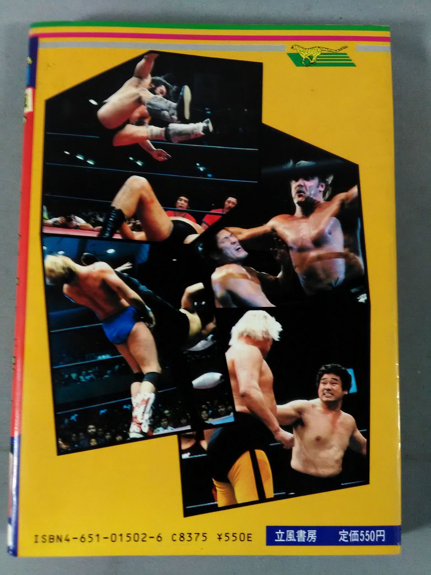 【Big Jaguars】Definitive Edition Pro Wrestling  Special Technique