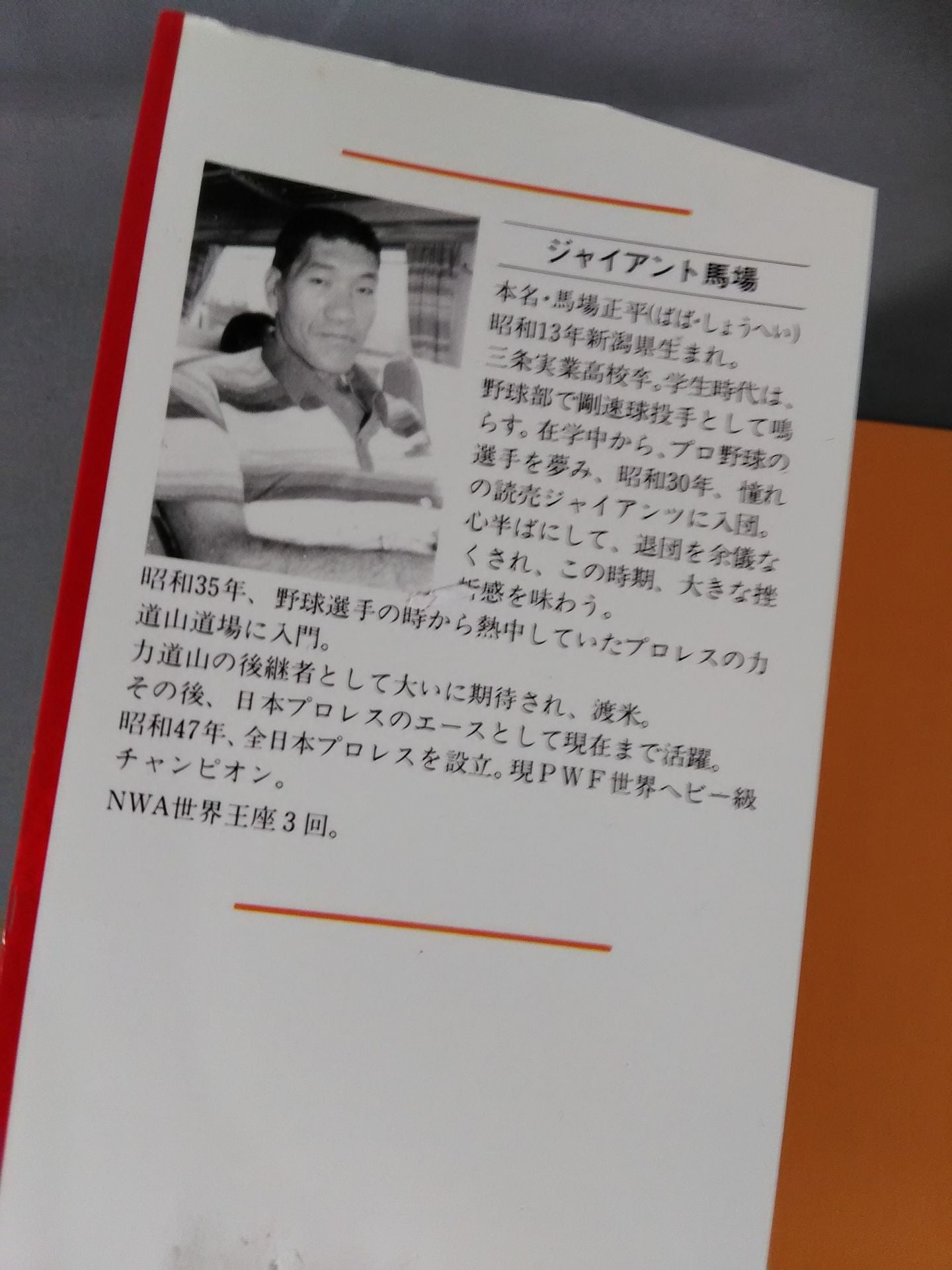 甦る怒濤の男 力道山