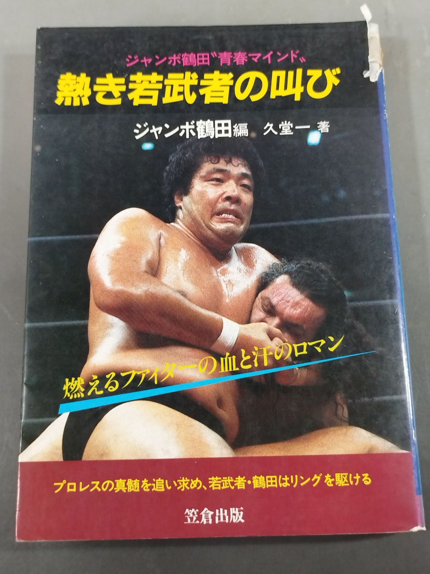 The Cry of a Hot Young Warrior Jumbo Tsuruta Youth Mind