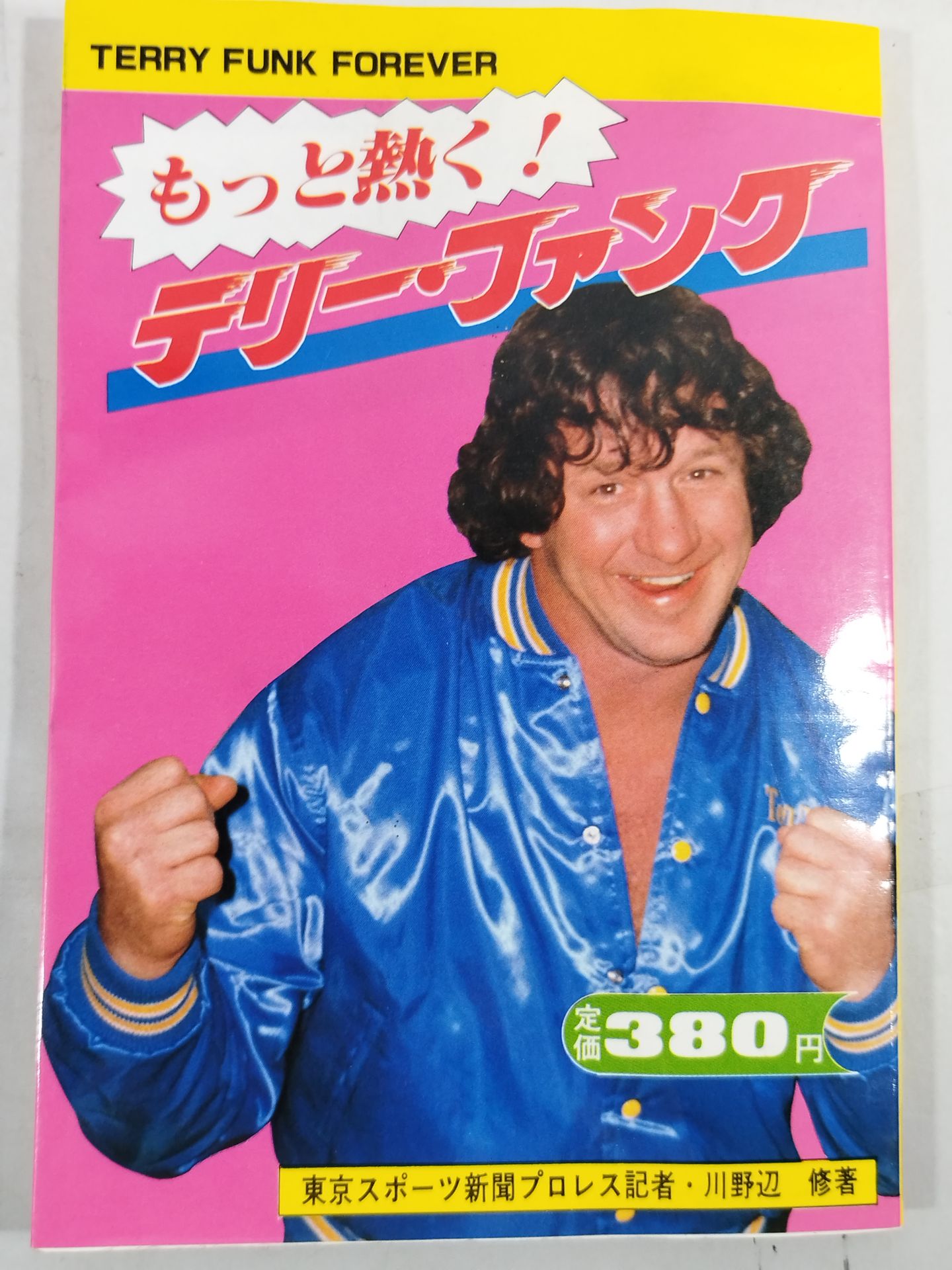 もっと熱く!テリー・ファンク