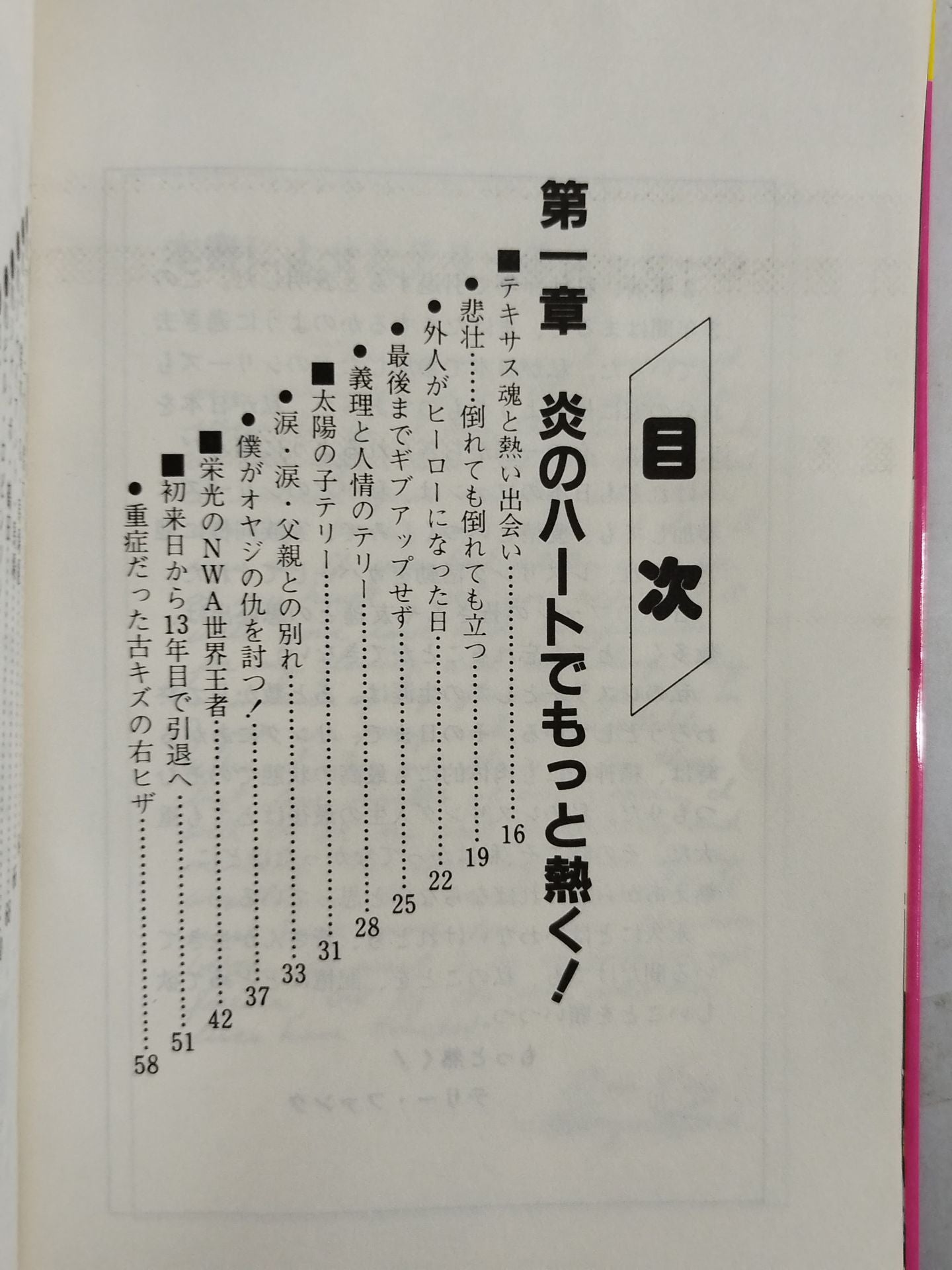 もっと熱く!テリー・ファンク