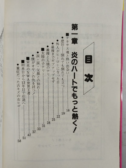 もっと熱く!テリー・ファンク