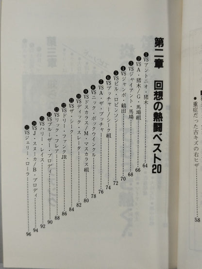 もっと熱く!テリー・ファンク