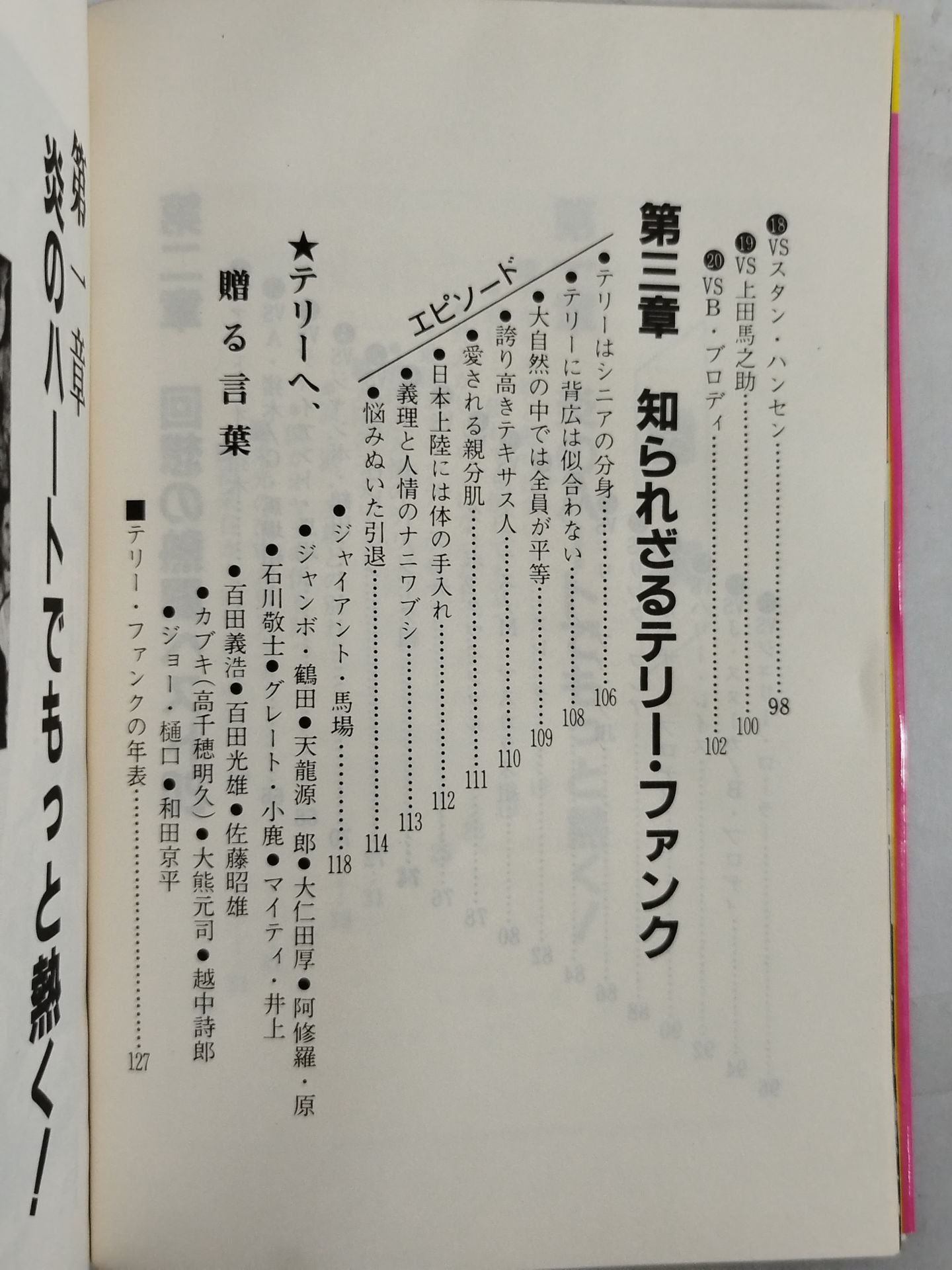 もっと熱く!テリー・ファンク