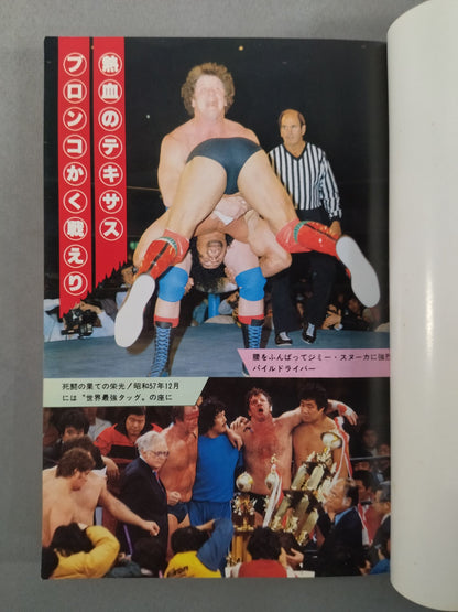 もっと熱く!テリー・ファンク