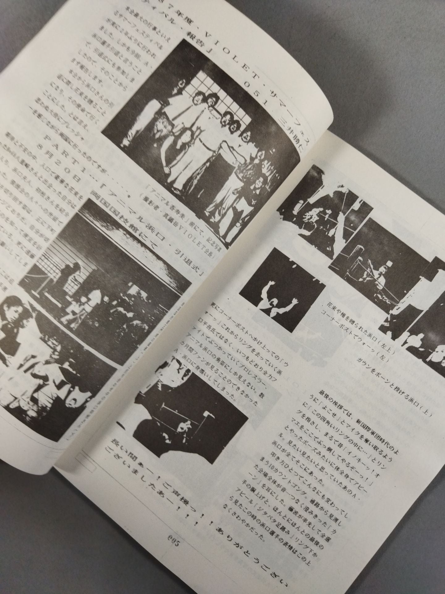 VIOLET No.14 (IWE International Pro Wrestling  Fan Circle)
