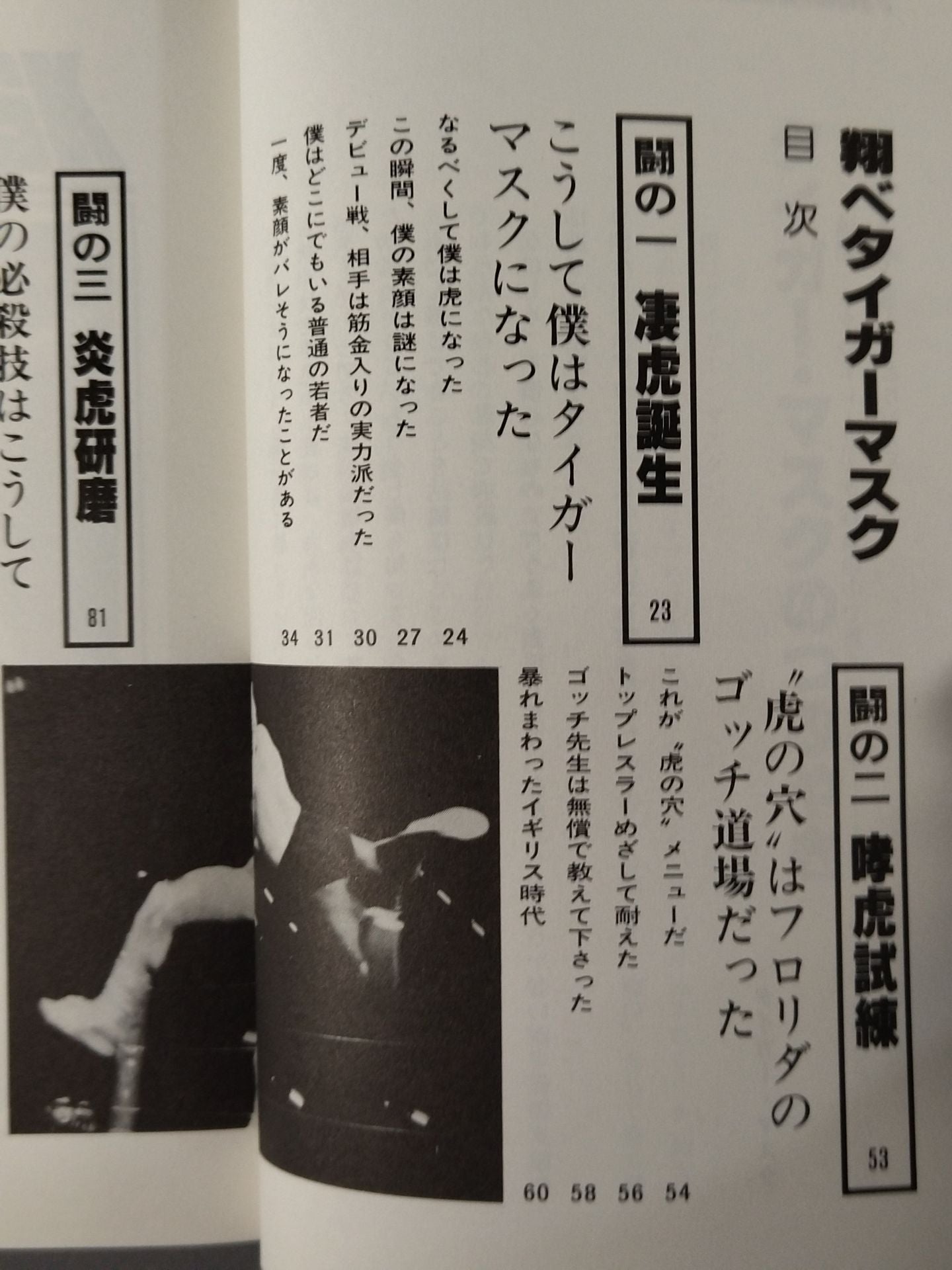 Shobe Tiger Mask