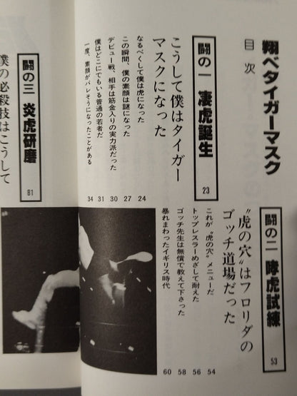 Shobe Tiger Mask