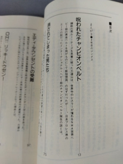 The Invincible Man's "Enemy" The Pro Wrestling  365 New "Shigeo Kado" The Complete Works of Pro Wrestling 1
