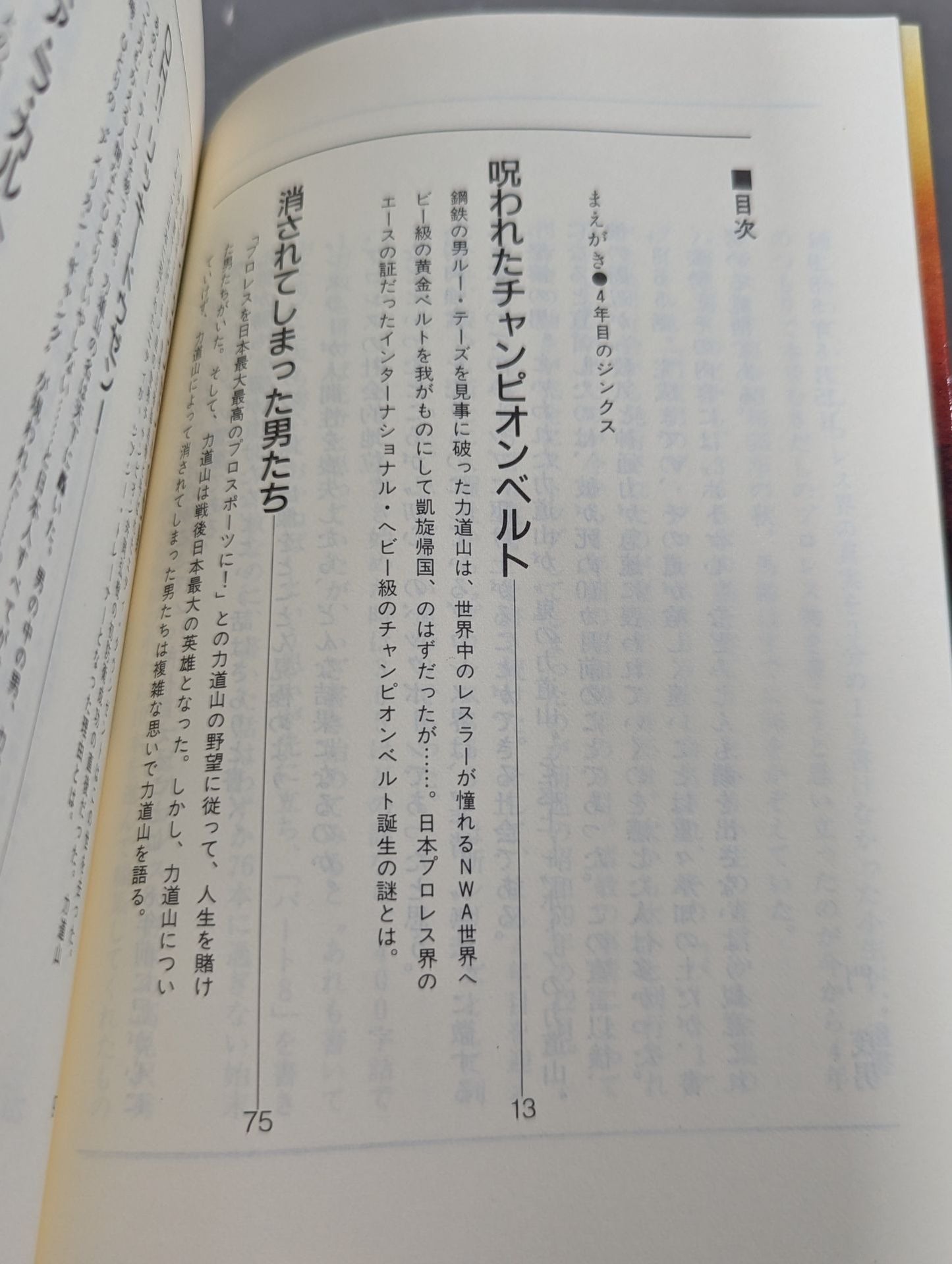 The Invincible Man's "Enemy" The Pro Wrestling  365 New "Shigeo Kado" The Complete Works of Pro Wrestling 1