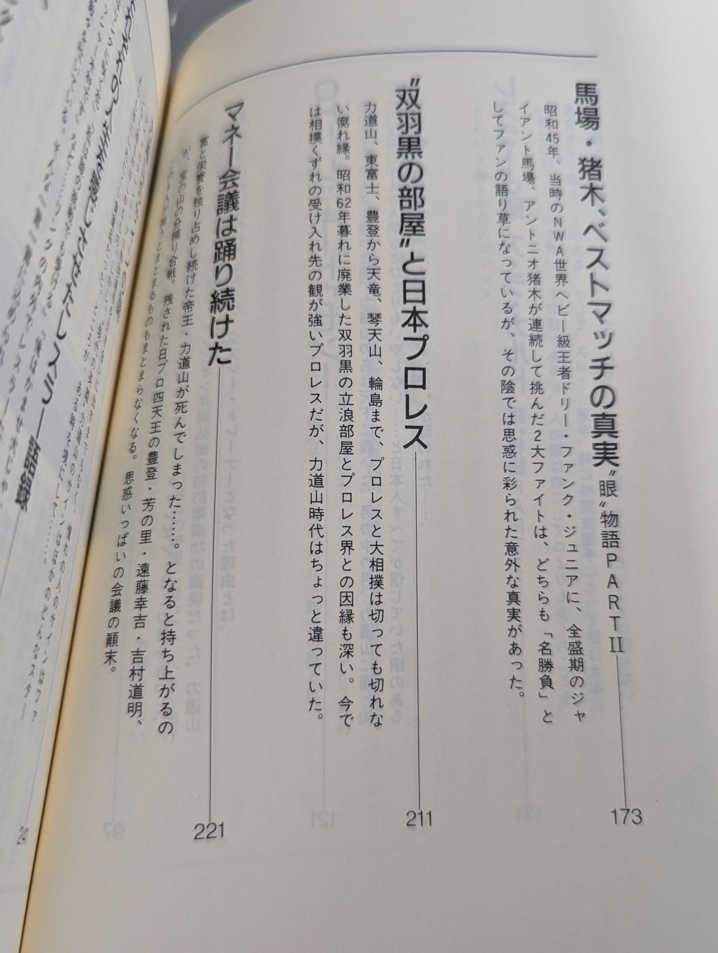 The Invincible Man's "Enemy" The Pro Wrestling  365 New "Shigeo Kado" The Complete Works of Pro Wrestling 1