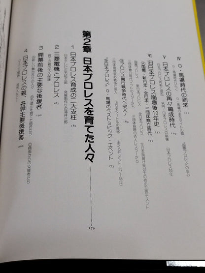 日本プロレス30年史