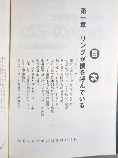 Tiger Mask: The True Face of a Superhero