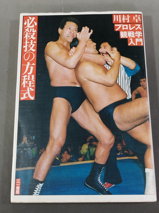 Introduction to Pro Wrestling Spectator Techniques Special Moves Equation