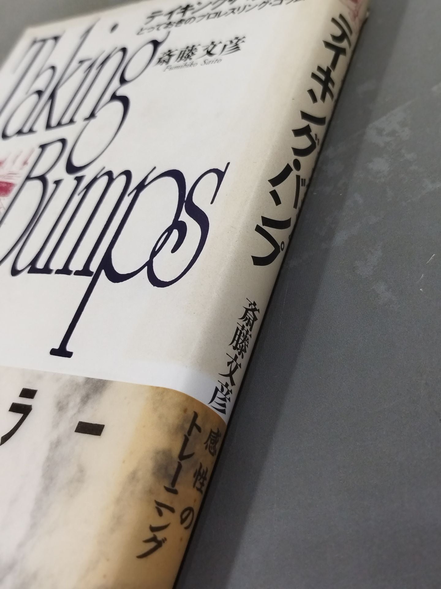 【Fumihiko Saito Hand Signed Autograph 】Taking BumpPro-wrestling  column