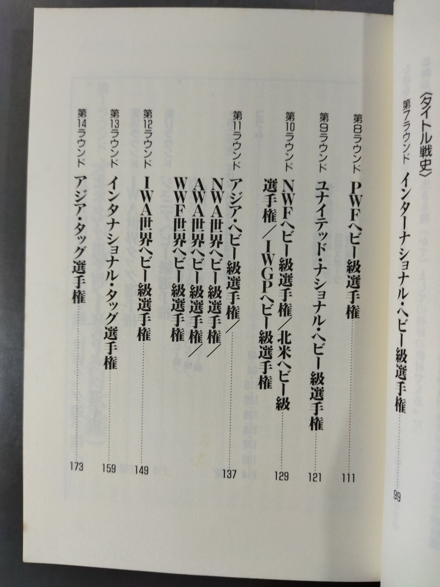 The Pro Wrestling  '90 (3) Wrestler Directory and Title Fight History