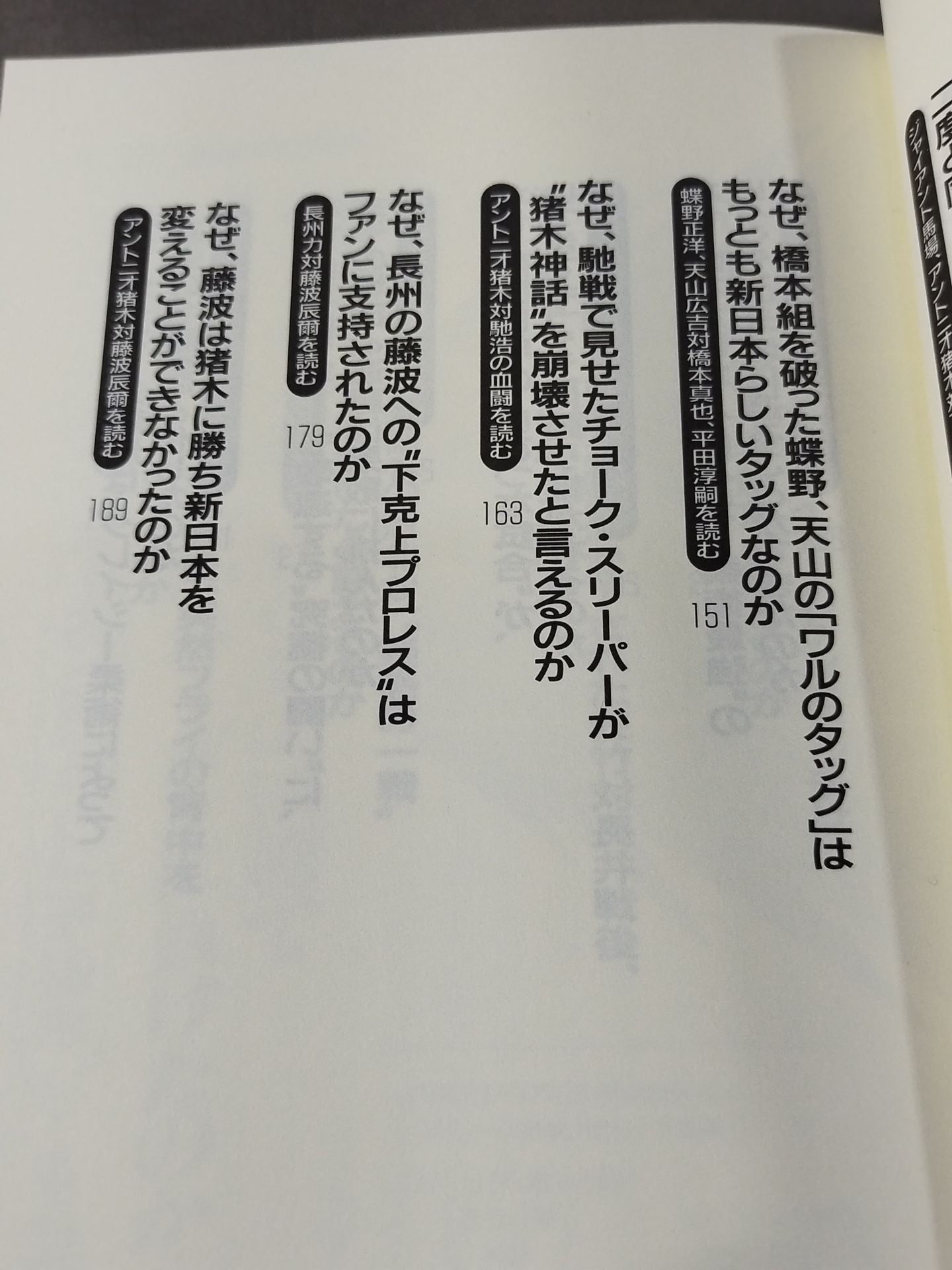 Pocket Book Special Pro Wrestling  Martial Arts Famous Match Daizen