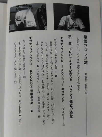 Fengyun Pro Wrestling  Castle Pro Wrestling  Definitive Guide