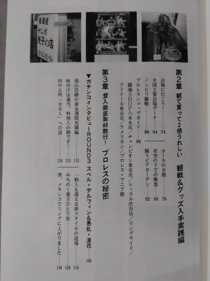 Fengyun Pro Wrestling  Castle Pro Wrestling  Definitive Guide