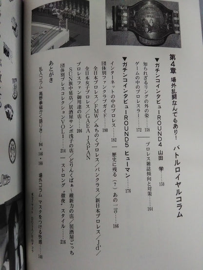 Fengyun Pro Wrestling  Castle Pro Wrestling  Definitive Guide