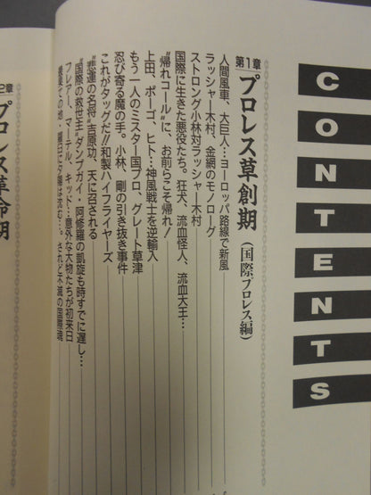 プロレス戦国史 仁義なき戦い