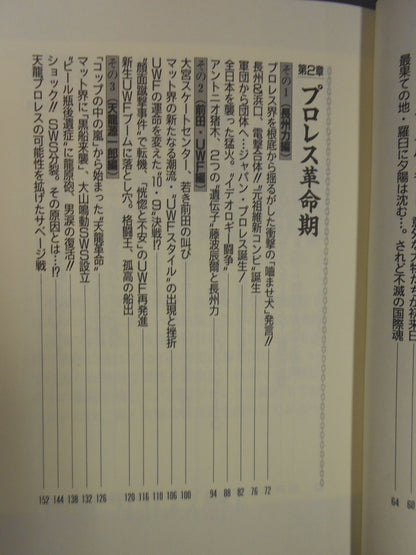 プロレス戦国史 仁義なき戦い