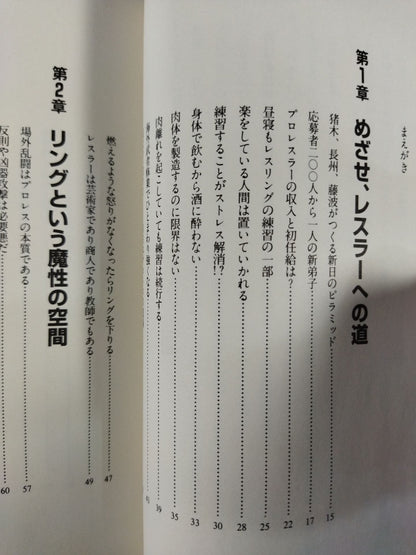 You Don't Know Pro Wrestling  Martial Arts Philosophy Manifesto