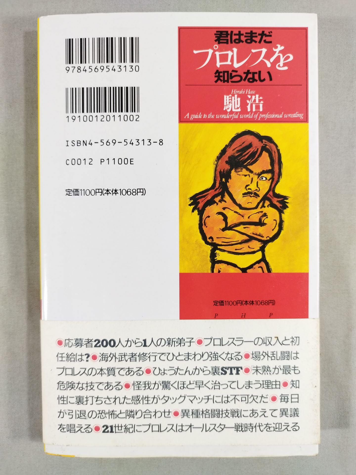 You Don't Know Pro Wrestling  Martial Arts Philosophy Manifesto