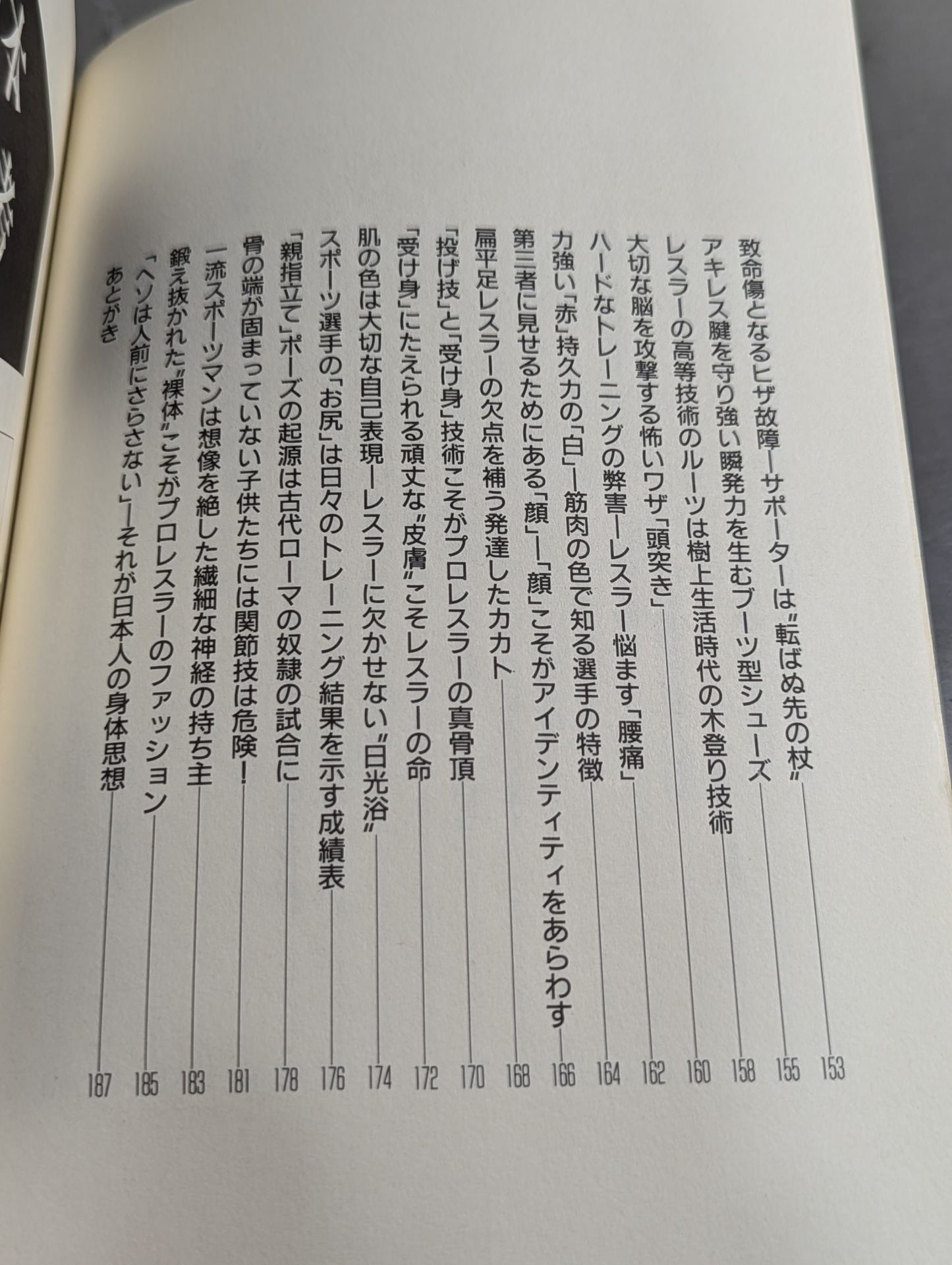 Kenshiro Matsunami's Pro Wrestling  Anthropology