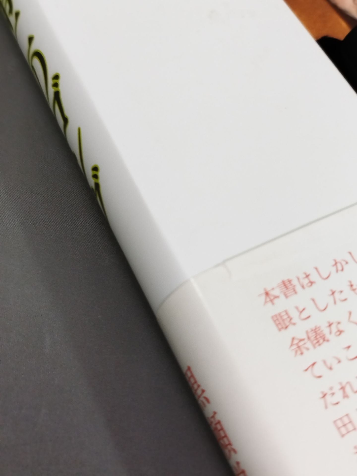 ジャンボ鶴田 第二のゴング