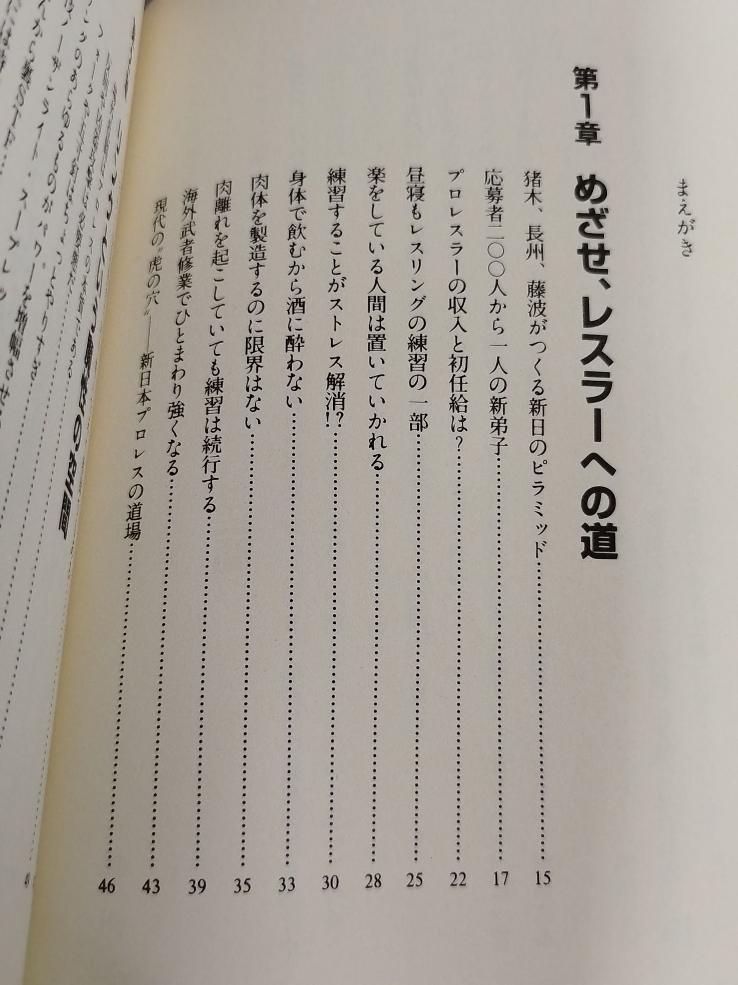 You Don't Know Pro Wrestling  Martial Arts Philosophy Manifesto