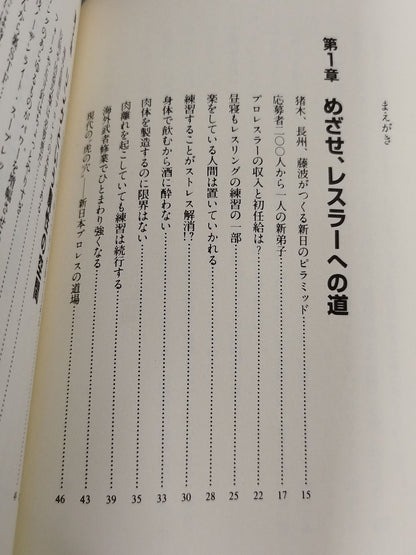 You Don't Know Pro Wrestling  Martial Arts Philosophy Manifesto