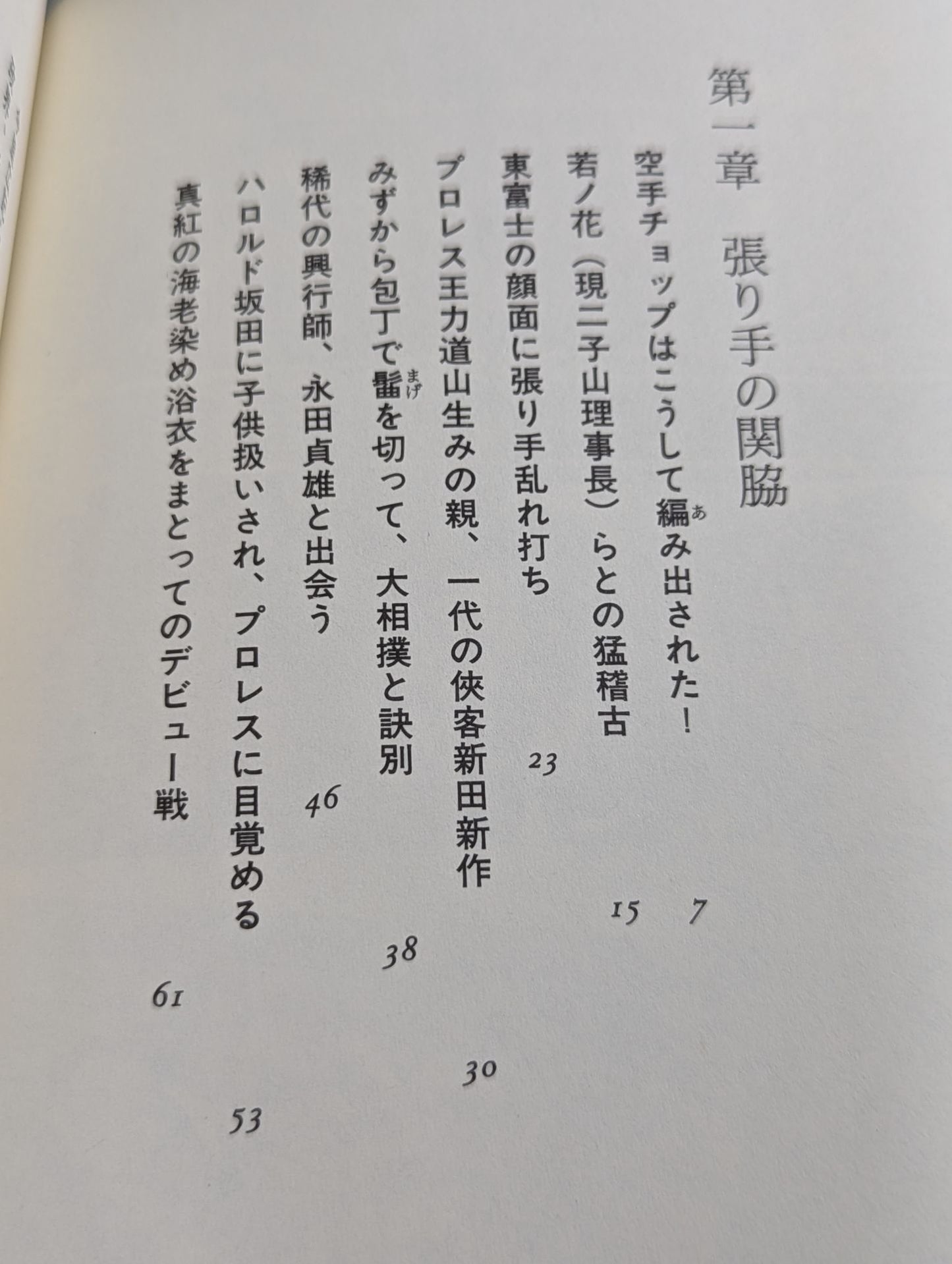 Eternal Rikidozan  Pro Wrestling  of the Three Kingdoms