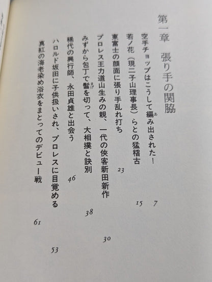 Eternal Rikidozan  Pro Wrestling  of the Three Kingdoms