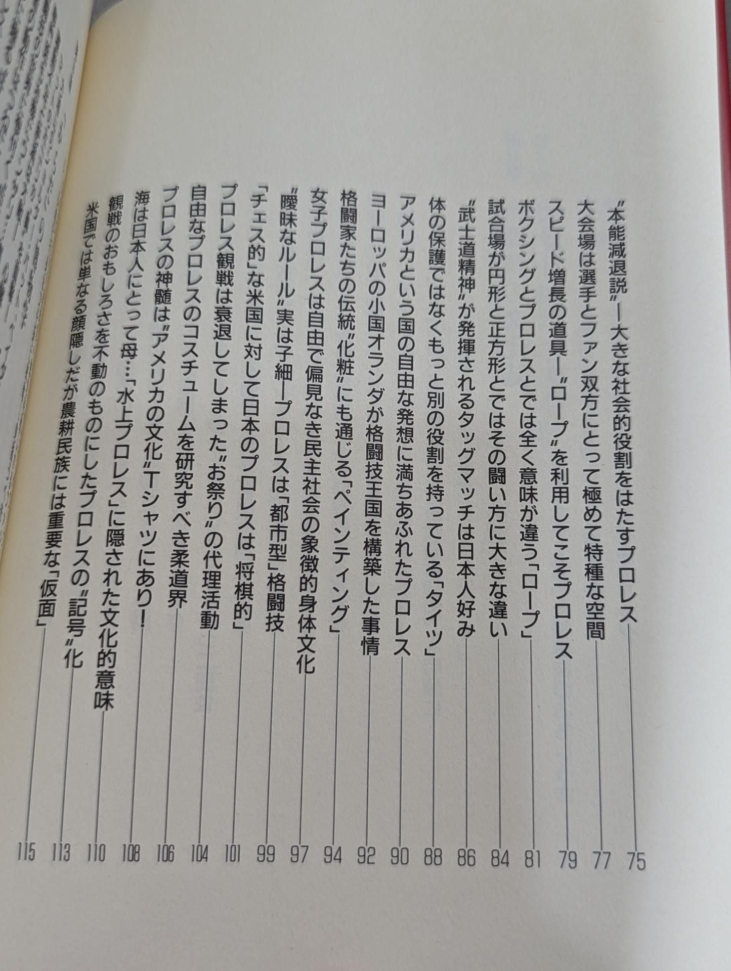 Kenshiro Matsunami's Pro Wrestling  Anthropology