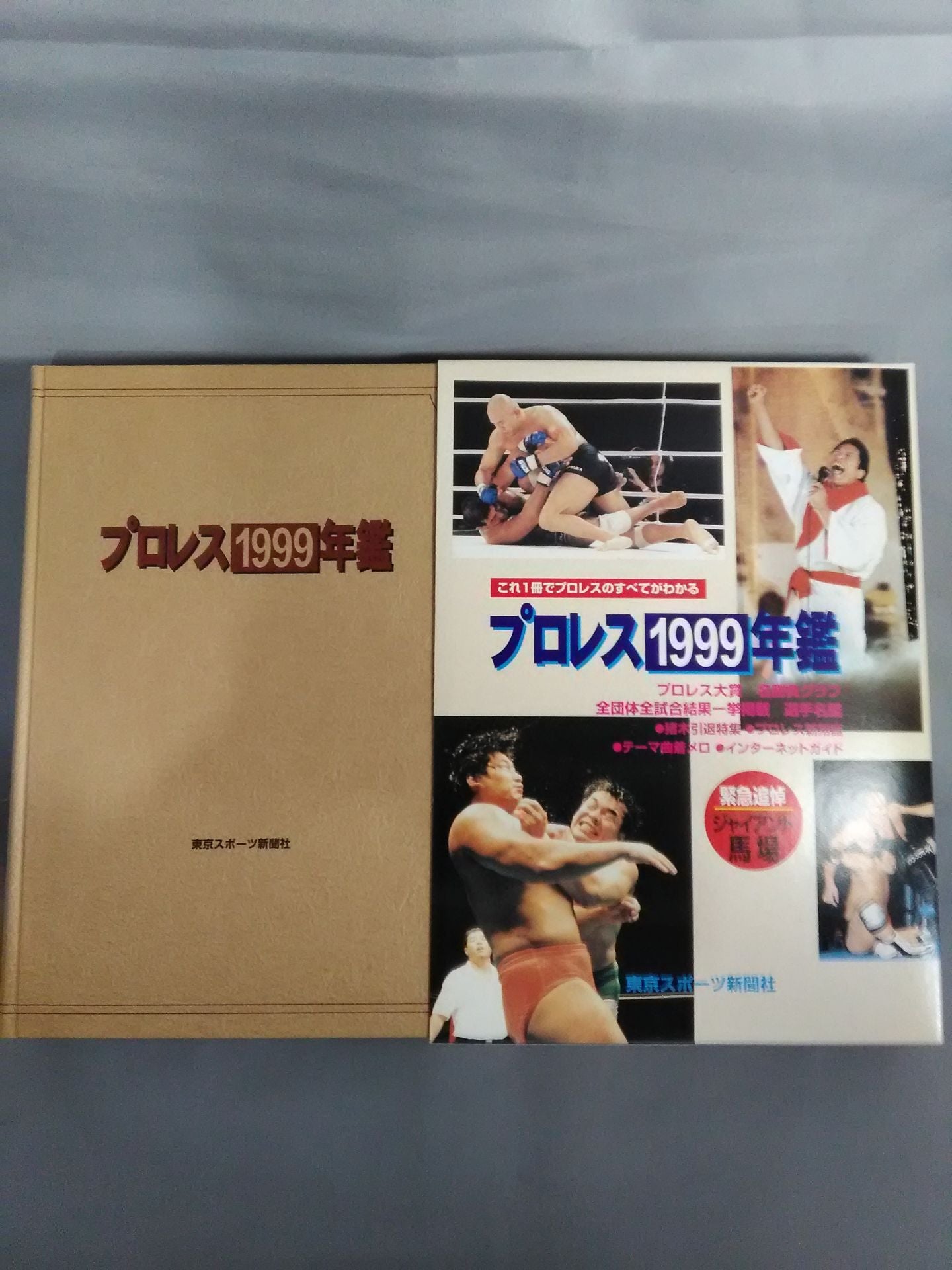 Pro Wrestling  1999 Yearbook in this one bookEverything you need to know about Pro Wrestling