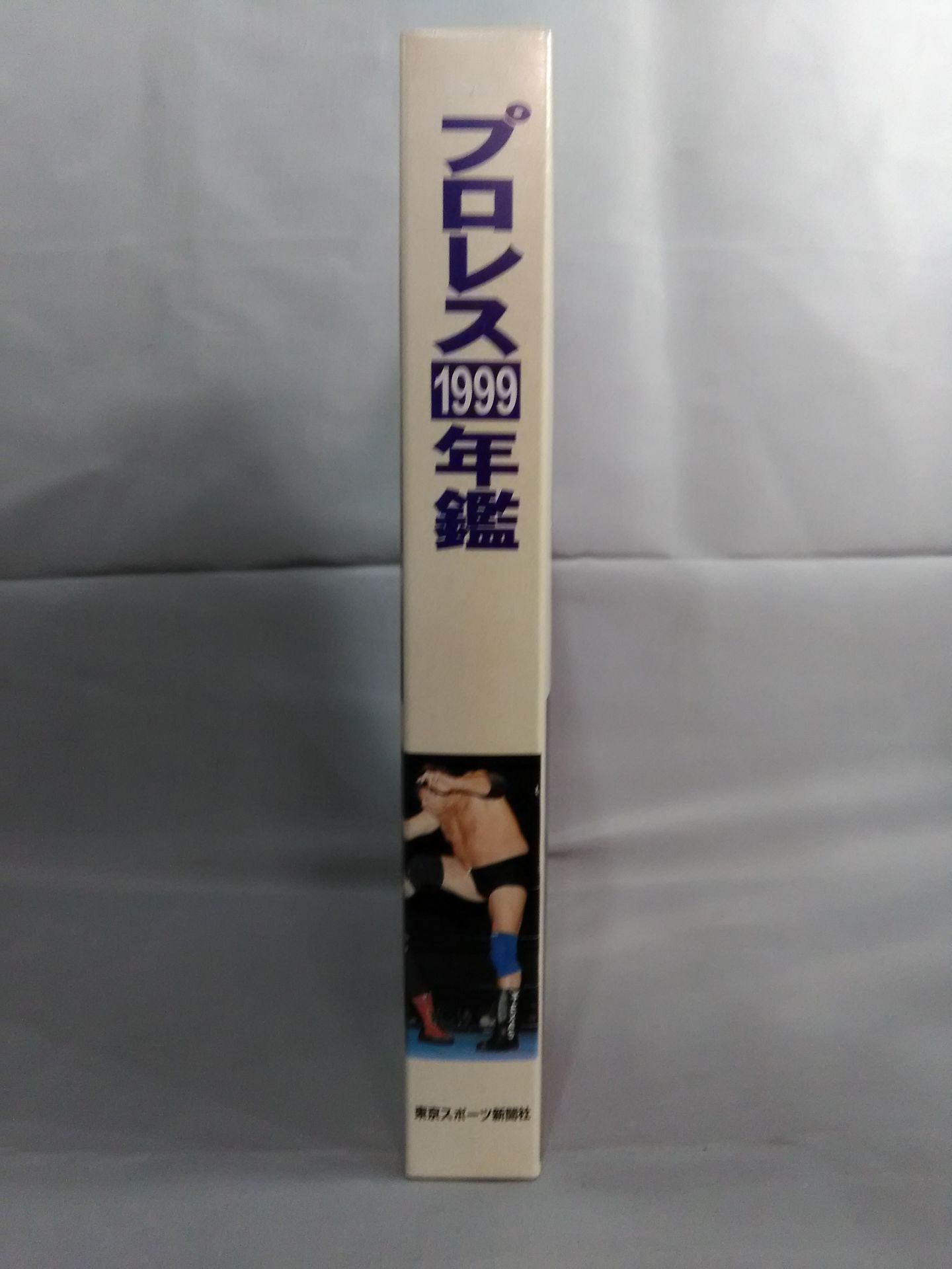 Pro Wrestling  1999 Yearbook in this one bookEverything you need to know about Pro Wrestling