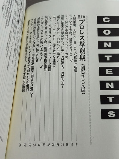 プロレス戦国史 仁義なき戦い