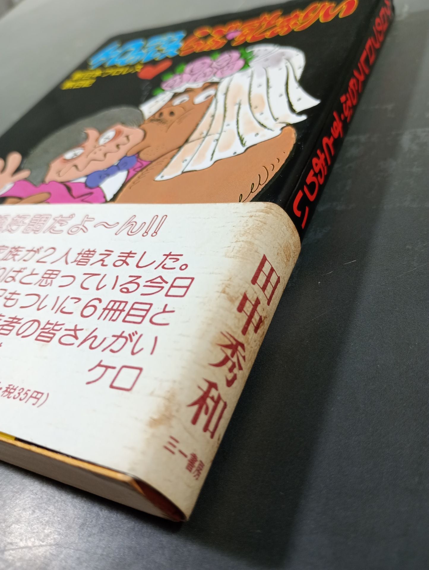 Kero's Pro Wrestling New Japan Pro Wrestling  Diary