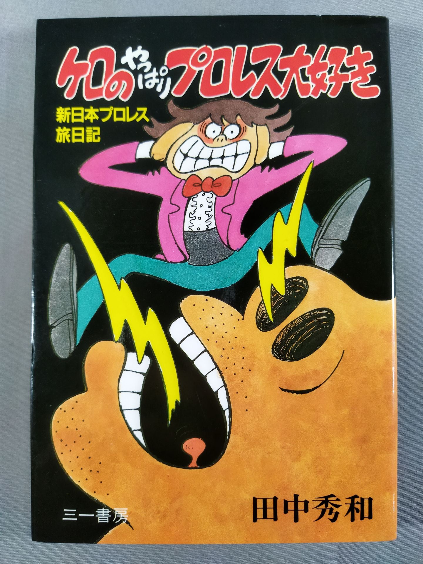 I really love Pro Wrestling in Kero. New Japan Pro Wrestling Travel Diary