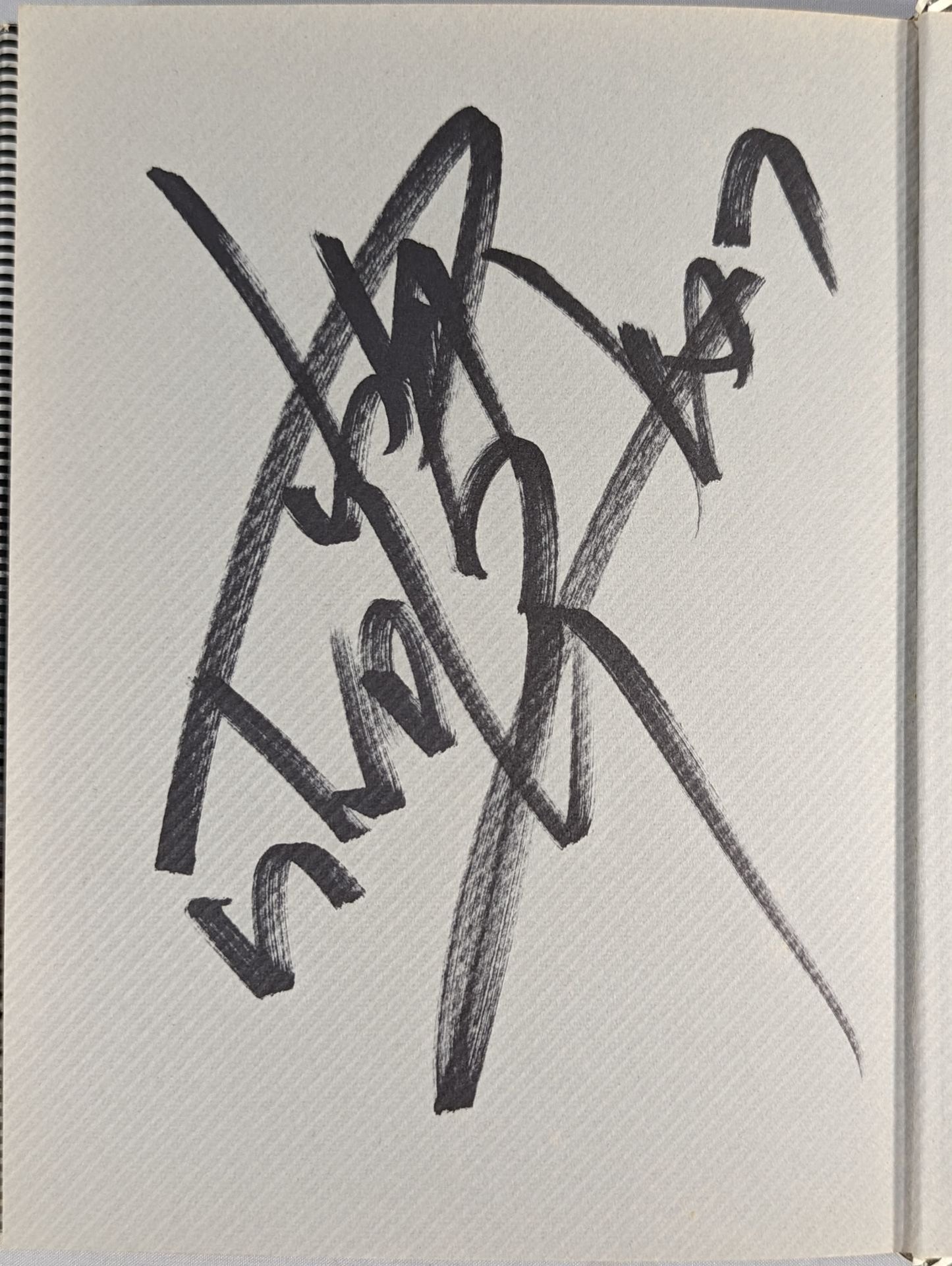 [Masahiro Chono  hand signed autograph GRAY ZONE To you in uncertain times