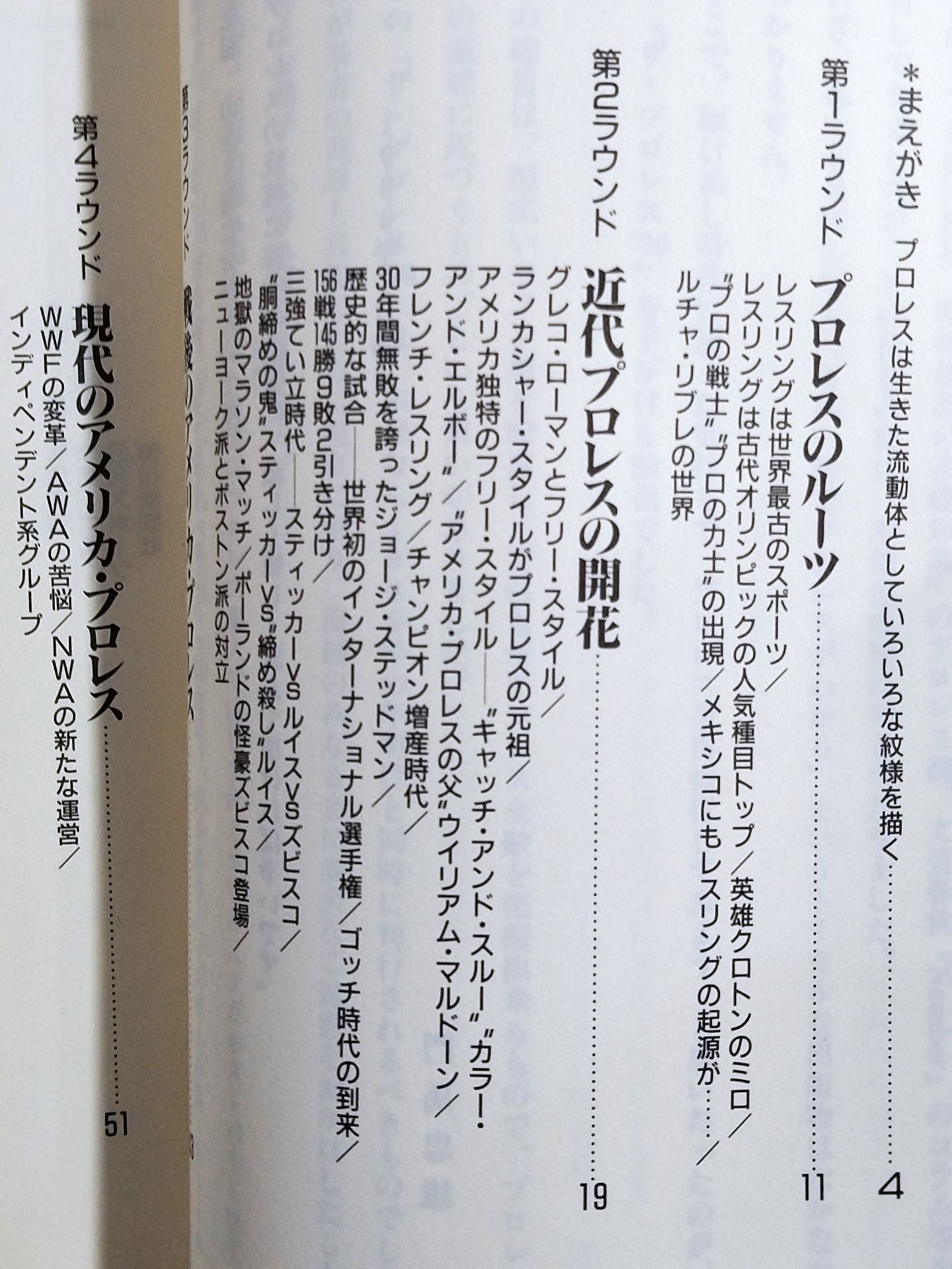 The Pro Wrestling  '90 (1) History