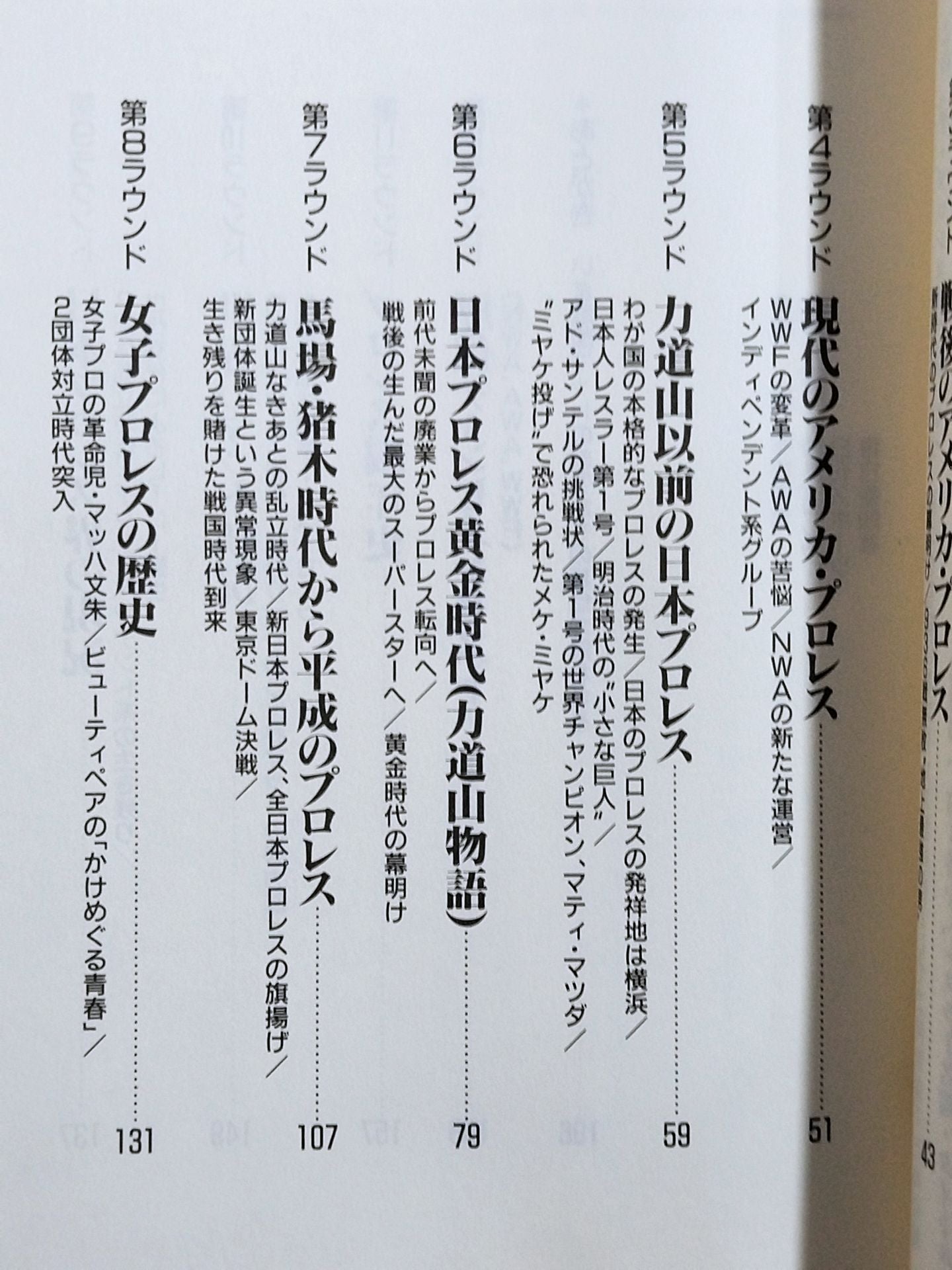 The Pro Wrestling  '90 (1) History