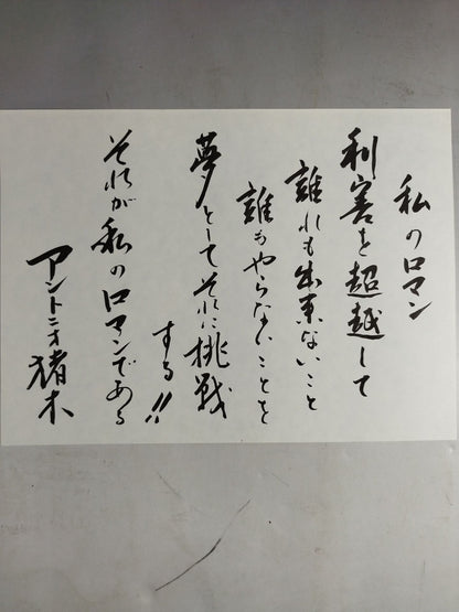 新日本プロレス20年史 【創立20周年愛蔵版】