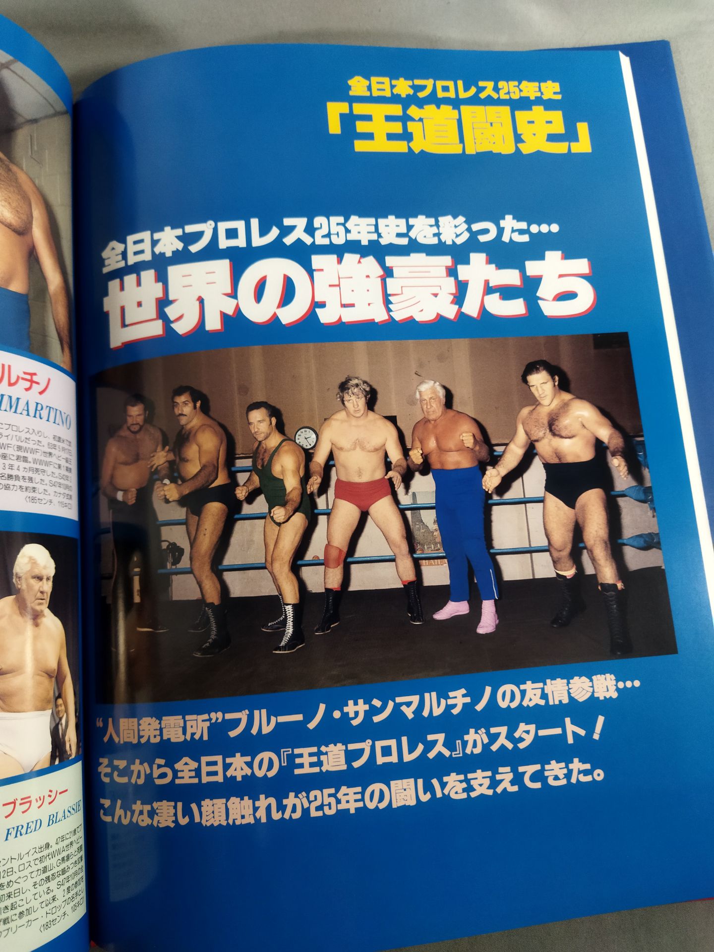 全日本プロレス25年史 ｢王道闘史｣