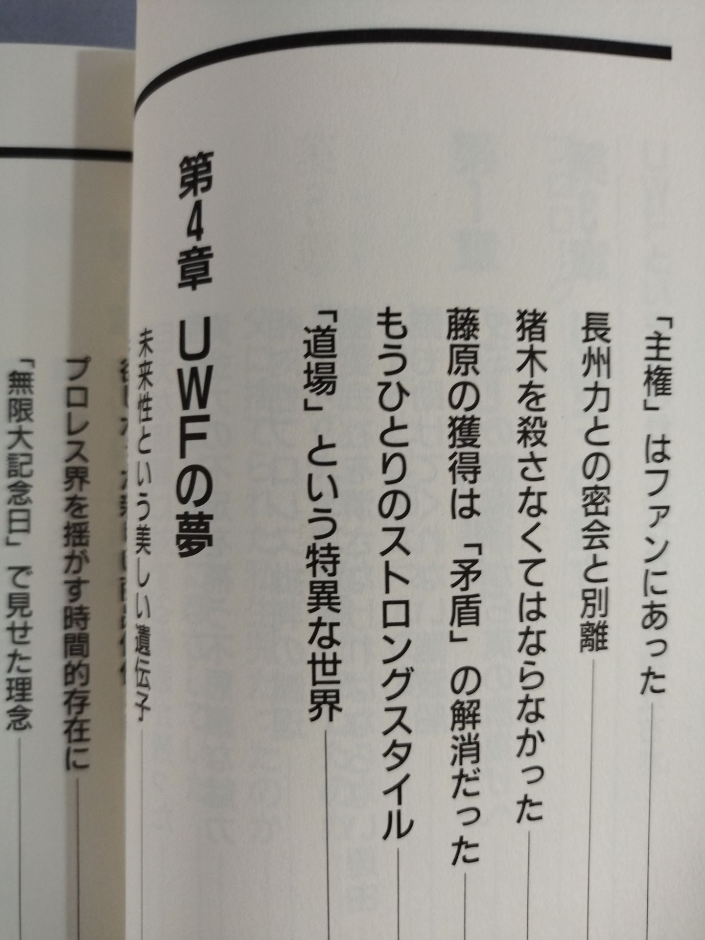 UWFという名の幻想への鎮魂歌(レクイエム)