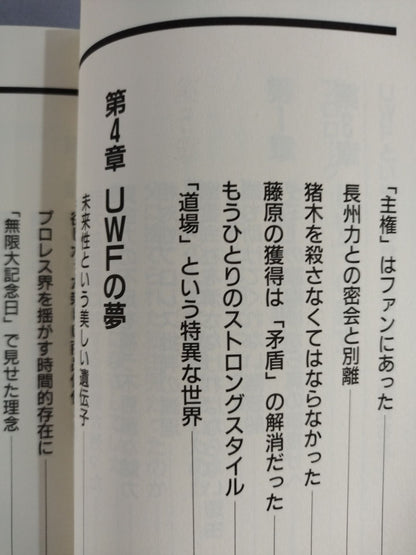 UWFという名の幻想への鎮魂歌(レクイエム)
