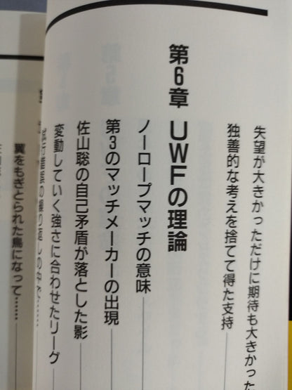 UWFという名の幻想への鎮魂歌(レクイエム)