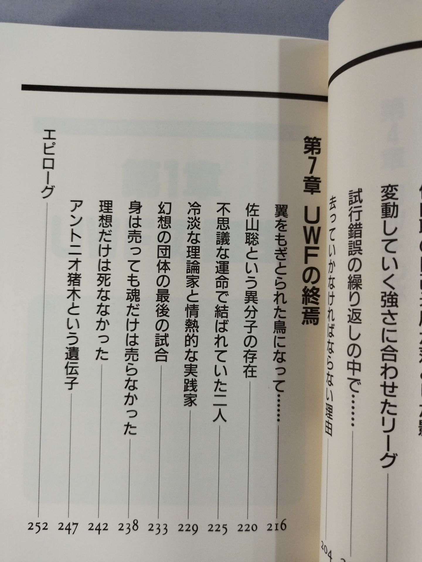 UWFという名の幻想への鎮魂歌(レクイエム)